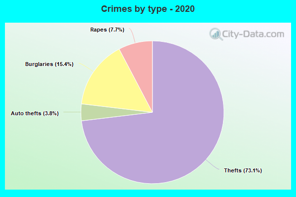 Crimes by type - 2020