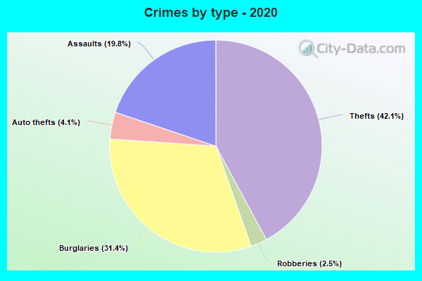 Crimes by type - 2020