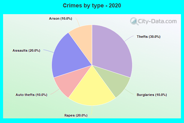 Crimes by type - 2020