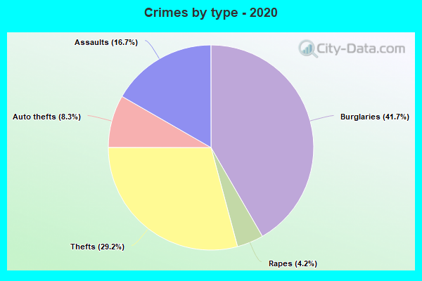 Crimes by type - 2020