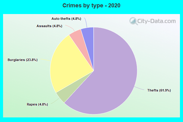 Crimes by type - 2020