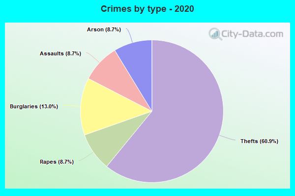 Crimes by type - 2020