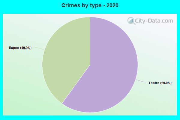 Crimes by type - 2020