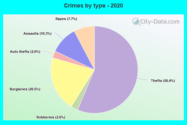 Crimes by type - 2020