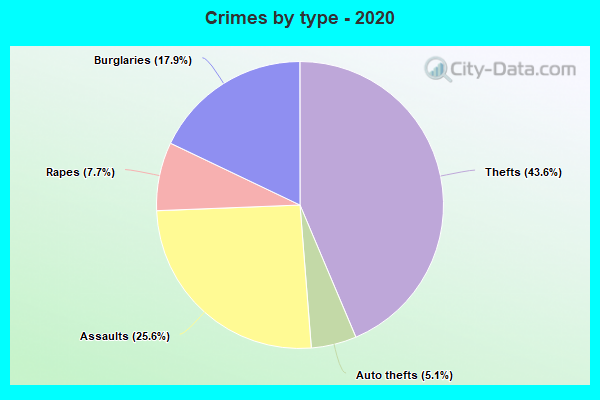 Crimes by type - 2020