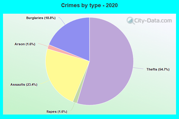 Crimes by type - 2020