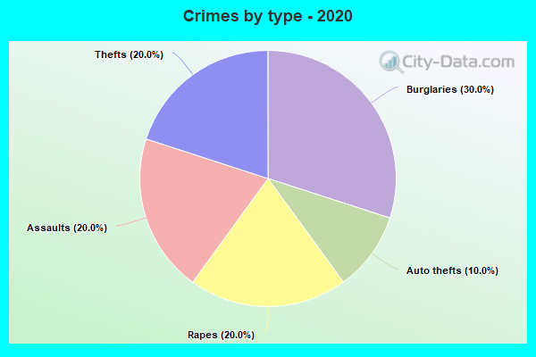 Crimes by type - 2020