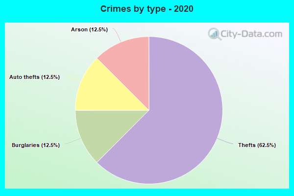 Crimes by type - 2020