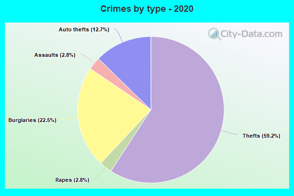 Crimes by type - 2020