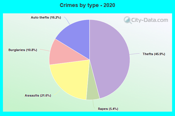 Crimes by type - 2020