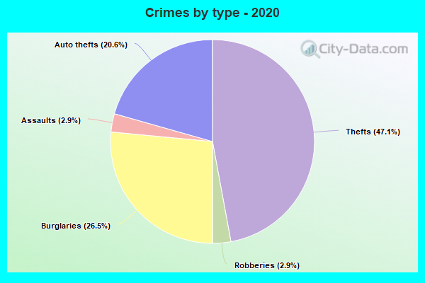 Crimes by type - 2020