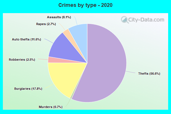 Crimes by type - 2020