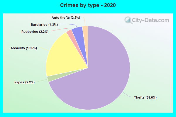 Crimes by type - 2020