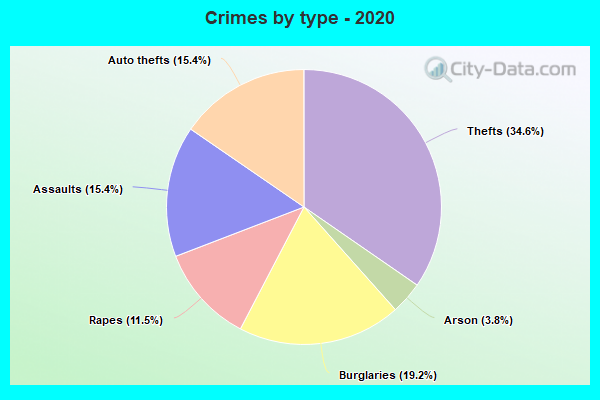 Crimes by type - 2020