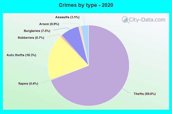 Crimes by type - 2020