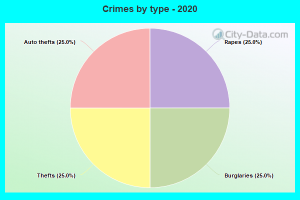 Crimes by type - 2020