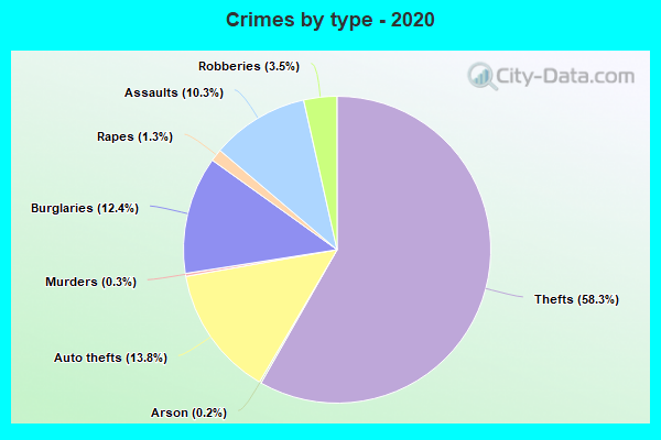 Crimes by type - 2020