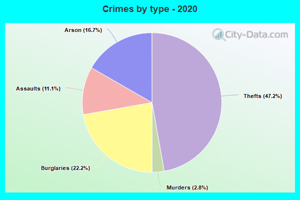 Crimes by type - 2020