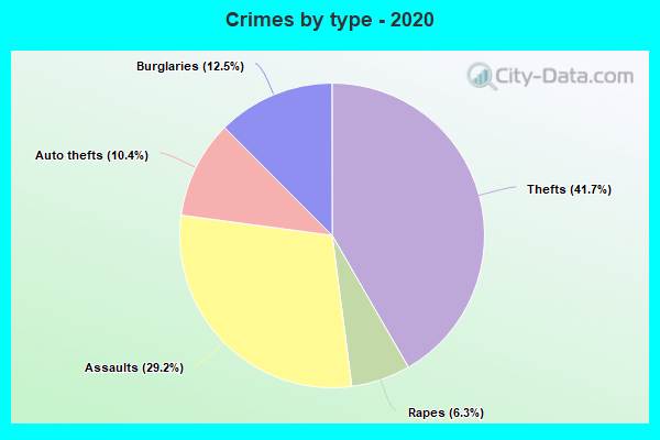 Crimes by type - 2020