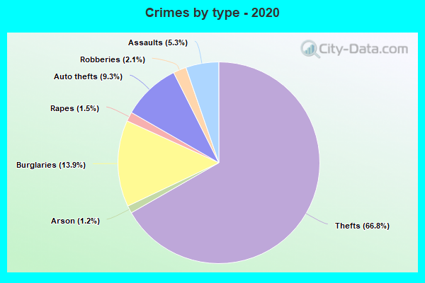 Crimes by type - 2020