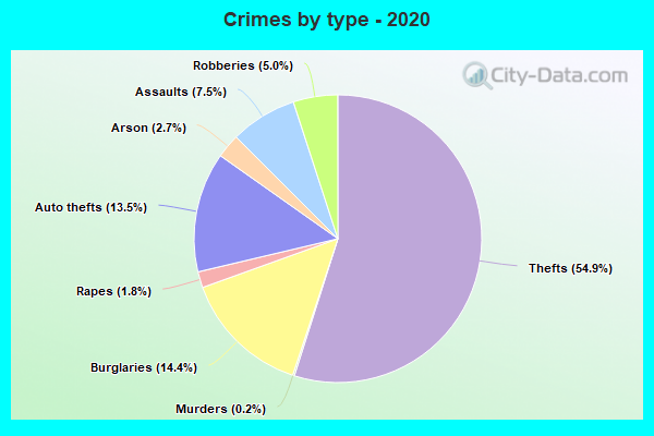 Crimes by type - 2020