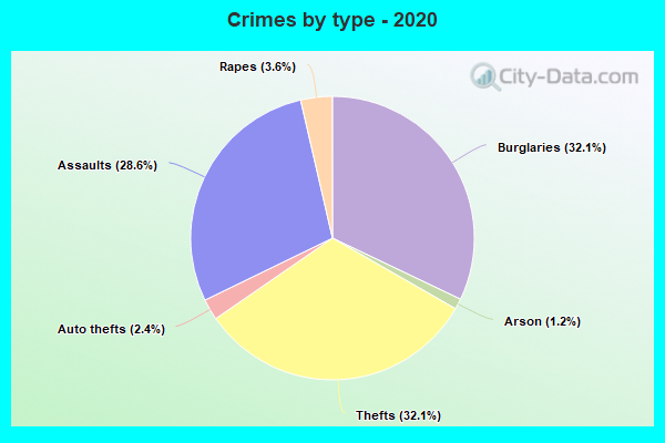 Crimes by type - 2020