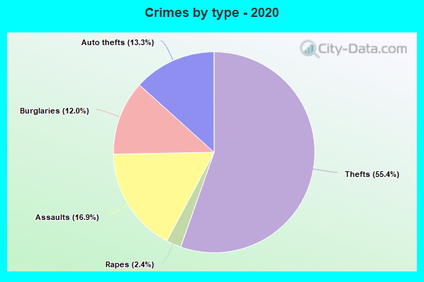 Crimes by type - 2020