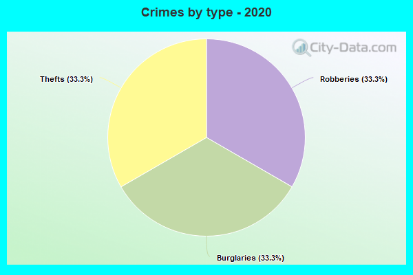 Crimes by type - 2020