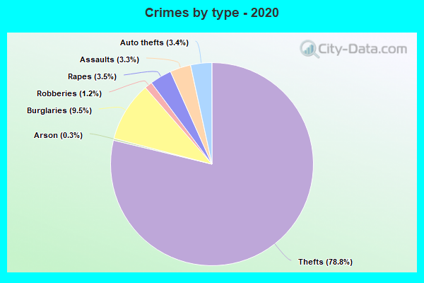 Crimes by type - 2020