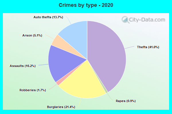 Crimes by type - 2020