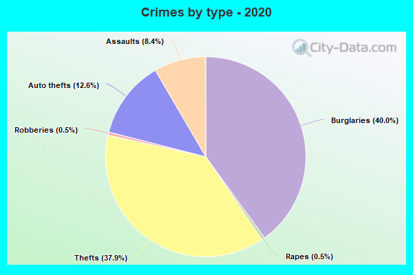 Crimes by type - 2020