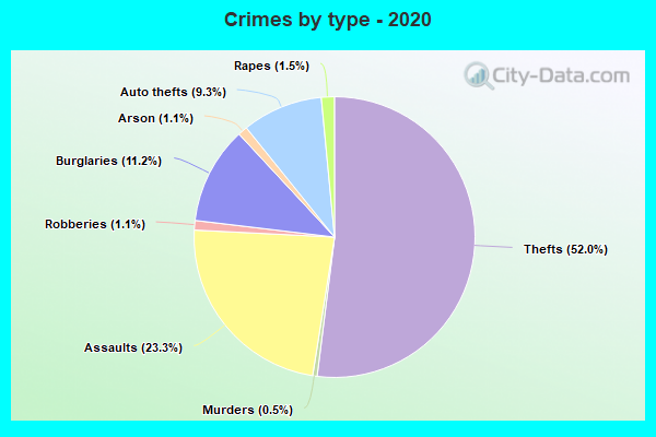 Crimes by type - 2020
