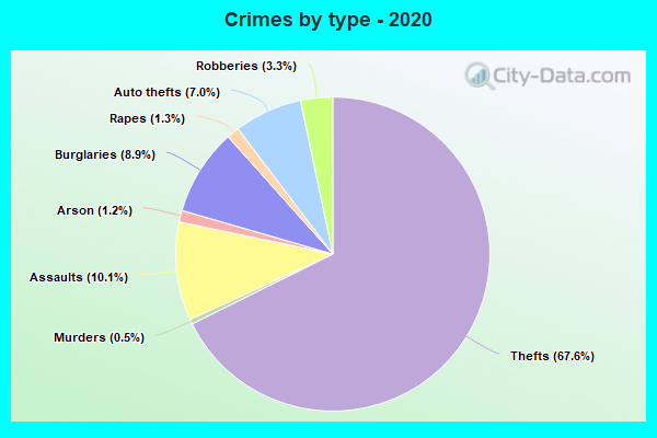 Crimes by type - 2020