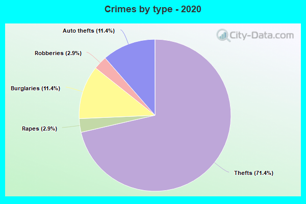 Crimes by type - 2020