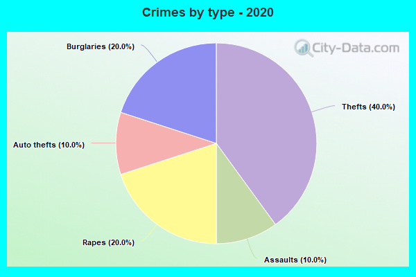 Crimes by type - 2020