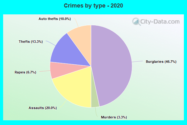 Crimes by type - 2020