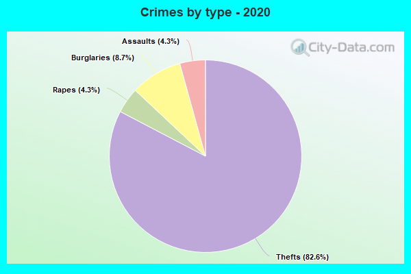 Crimes by type - 2020