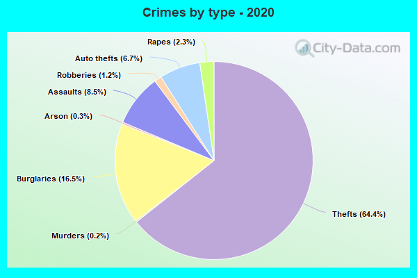 Crimes by type - 2020