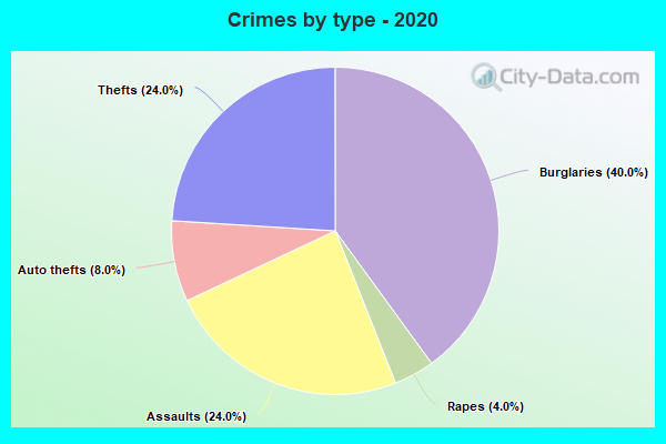 Crimes by type - 2020