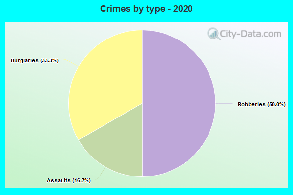 Crimes by type - 2020