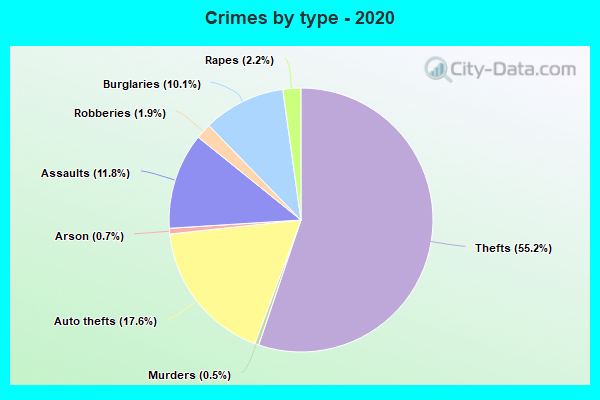 Crimes by type - 2020