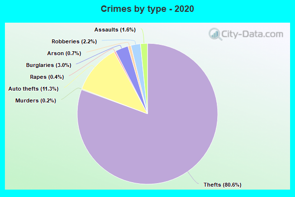 Crimes by type - 2020