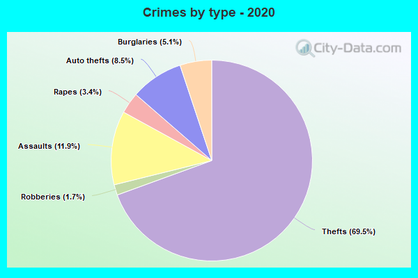 Crimes by type - 2020