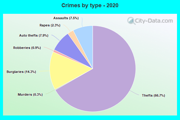 Crimes by type - 2020