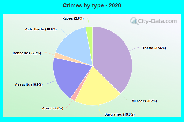 Crimes by type - 2020