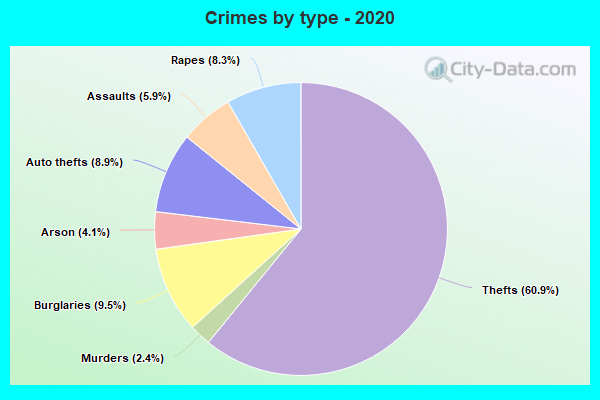 Crimes by type - 2020