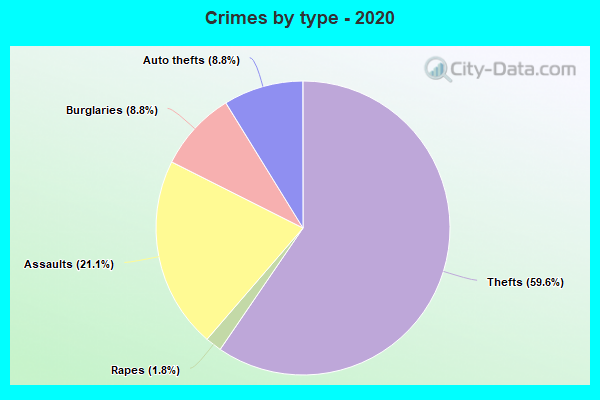 Crimes by type - 2020