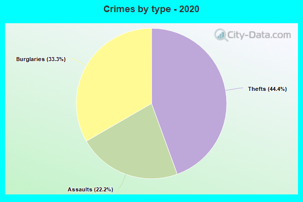 Crimes by type - 2020