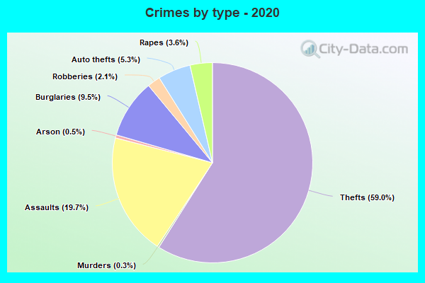 Crimes by type - 2020