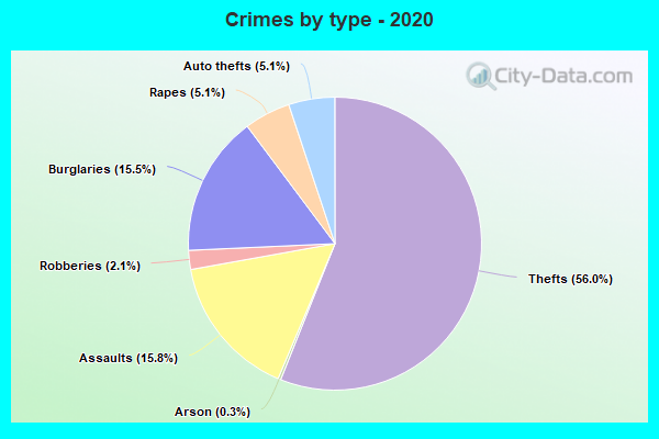 Crimes by type - 2020